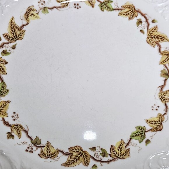 2 Wedgwood Golden Ivy Dinner Plates 10.5" Laurel Rim raised relief England - Picture 10 of 14